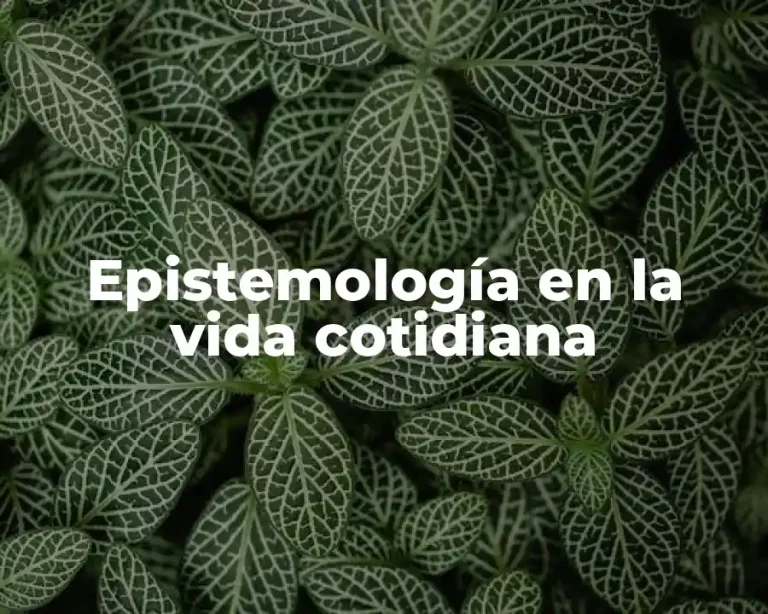 Epistemología en la vida cotidiana
