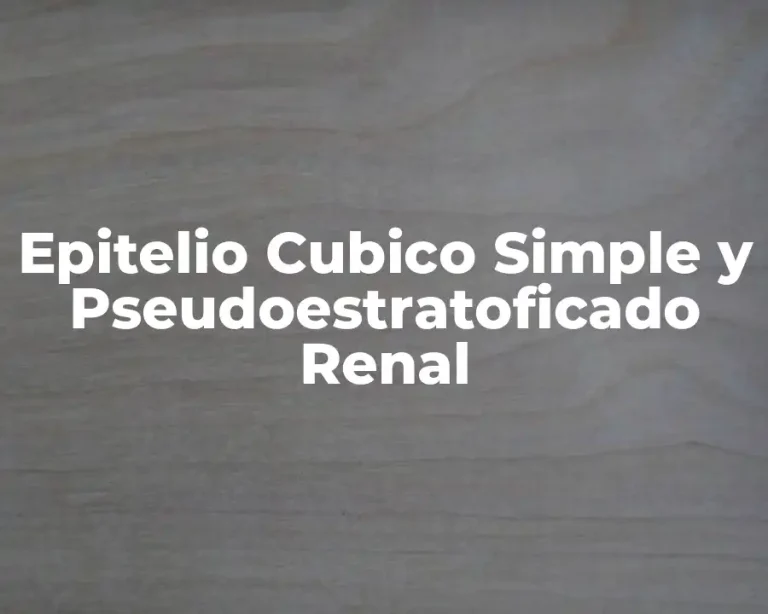 Epitelio Cubico Simple y Pseudoestratoficado Renal