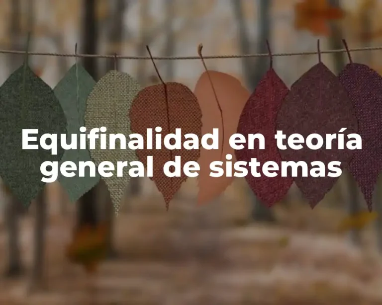 Equifinalidad en teoría general de sistemas