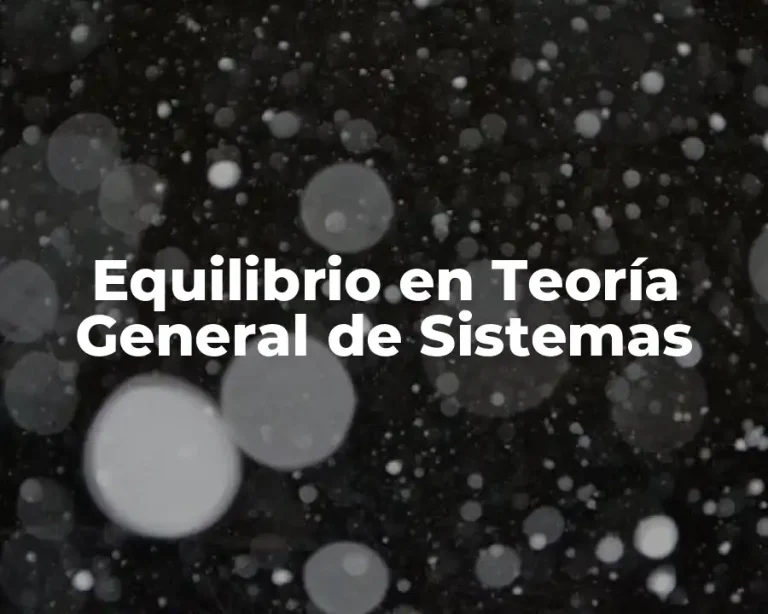 Equilibrio en Teoría General de Sistemas