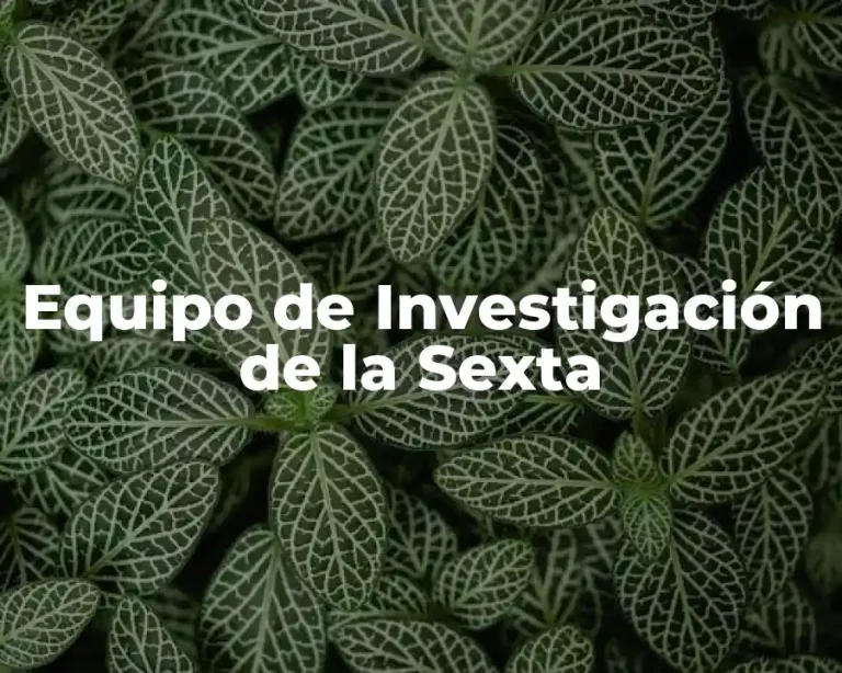 Equipo de Investigación de la Sexta