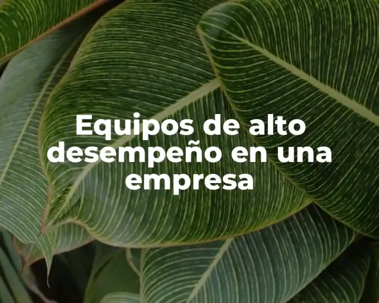 Equipos de alto desempeño en una empresa