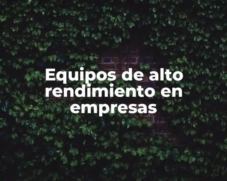 Equipos de alto rendimiento en empresas