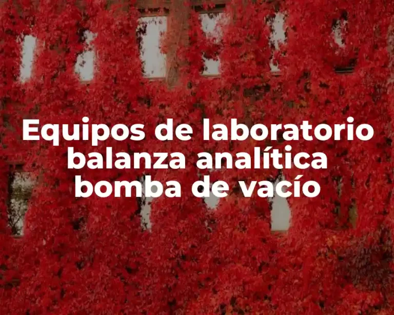 Equipos de laboratorio balanza analítica bomba de vacío