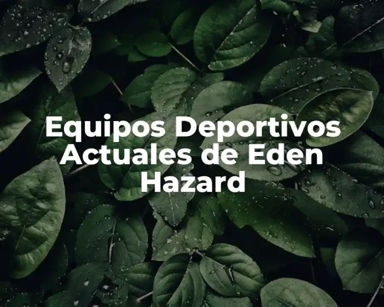 Equipos Deportivos Actuales de Eden Hazard