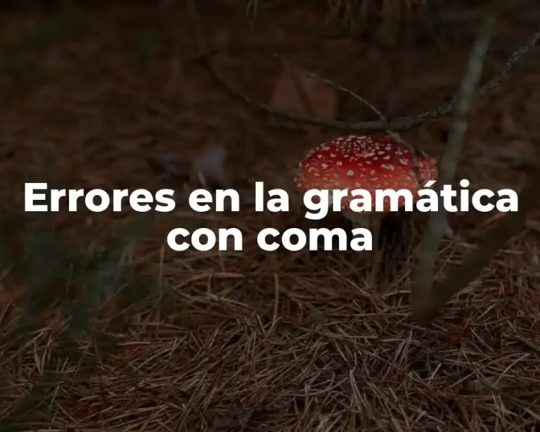 Errores en la gramática con coma