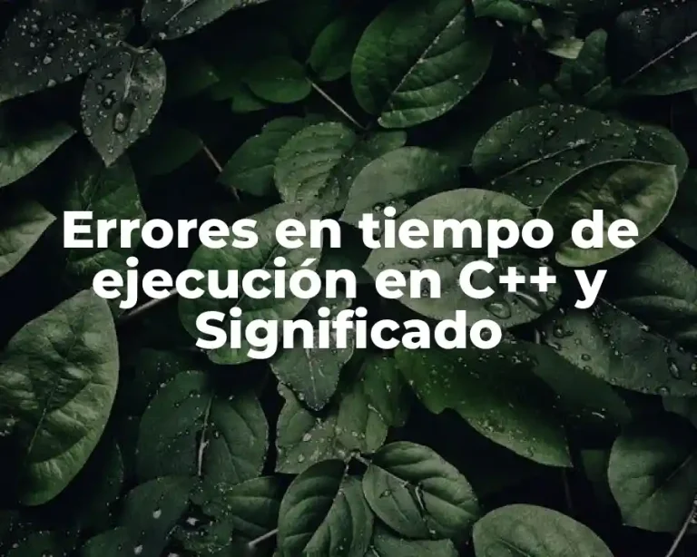 Errores en tiempo de ejecución en C++ y Significado