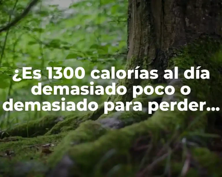 ¿Es 1300 calorías al día demasiado poco o demasiado para perder peso?