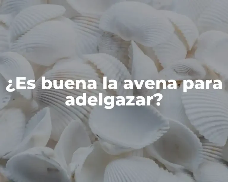 ¿Es buena la avena para adelgazar?