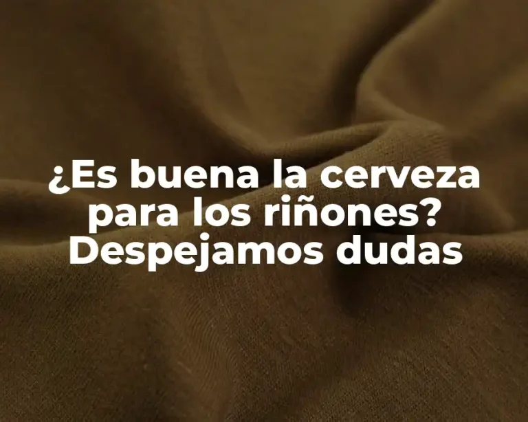 ¿Es buena la cerveza para los riñones? Despejamos dudas