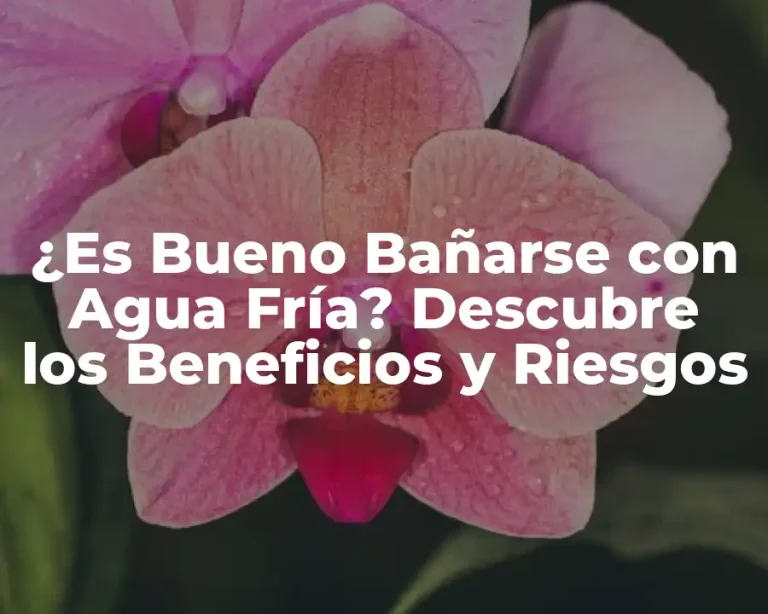 ¿Es Bueno Bañarse con Agua Fría? Descubre los Beneficios y Riesgos