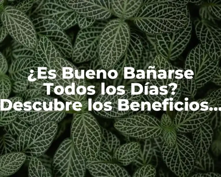 ¿Es Bueno Bañarse Todos los Días? Descubre los Beneficios y Riesgos