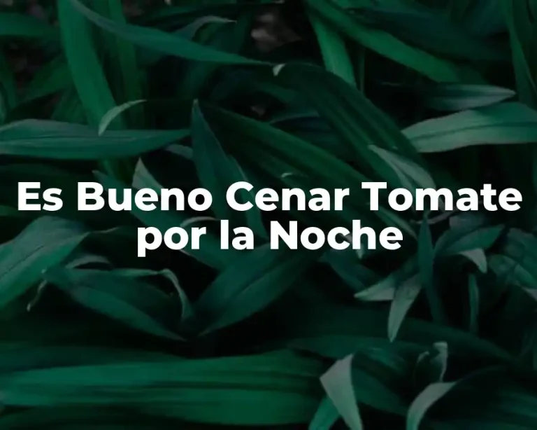 Es Bueno Cenar Tomate por la Noche