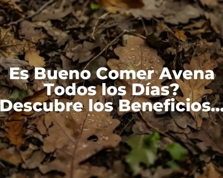 Es Bueno Comer Avena Todos los Días? Descubre los Beneficios y Riesgos