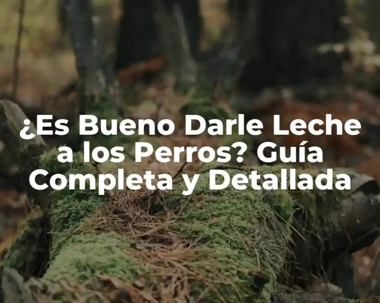¿Es Bueno Darle Leche a los Perros? Guía Completa y Detallada