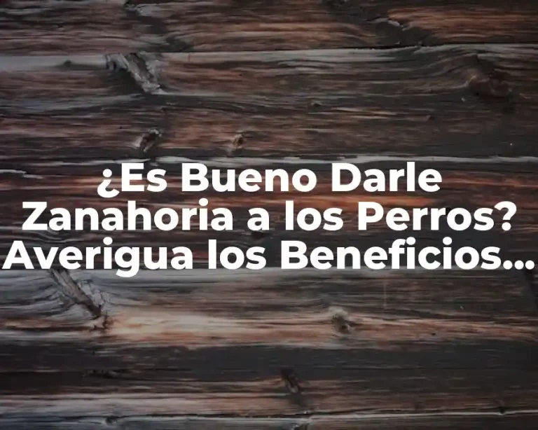 ¿Es Bueno Darle Zanahoria a los Perros? Averigua los Beneficios y Riesgos