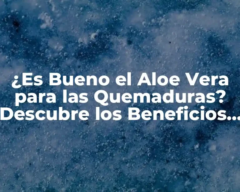 ¿Es Bueno el Aloe Vera para las Quemaduras? Descubre los Beneficios y Usos del Aloe Vera para el Tratamiento de Quemaduras