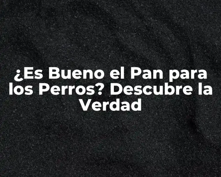 ¿Es Bueno el Pan para los Perros? Descubre la Verdad