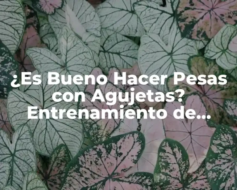 ¿Es Bueno Hacer Pesas con Agujetas? Entrenamiento de Fuerza y Seguridad