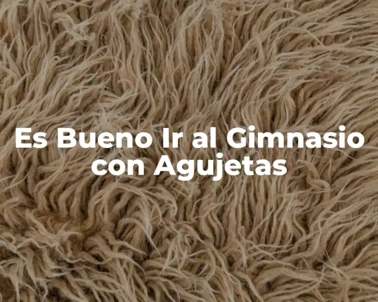 Es Bueno Ir al Gimnasio con Agujetas