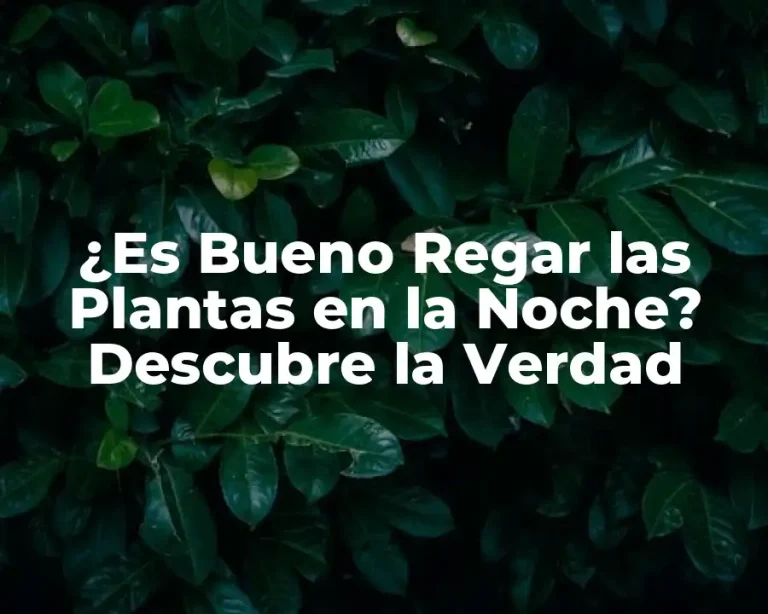 ¿Es Bueno Regar las Plantas en la Noche? Descubre la Verdad