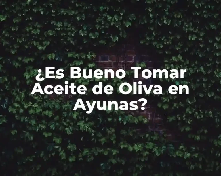 ¿Es Bueno Tomar Aceite de Oliva en Ayunas?
