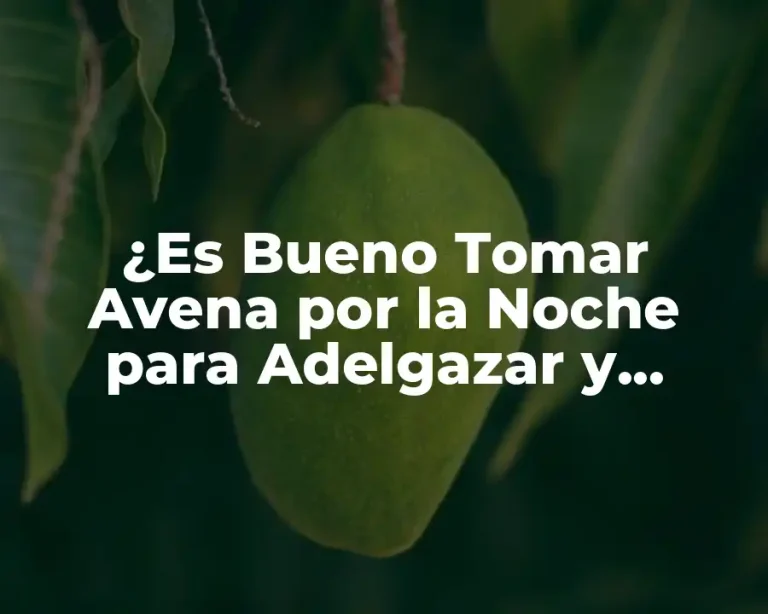 ¿Es Bueno Tomar Avena por la Noche para Adelgazar y Mejorar la Salud?