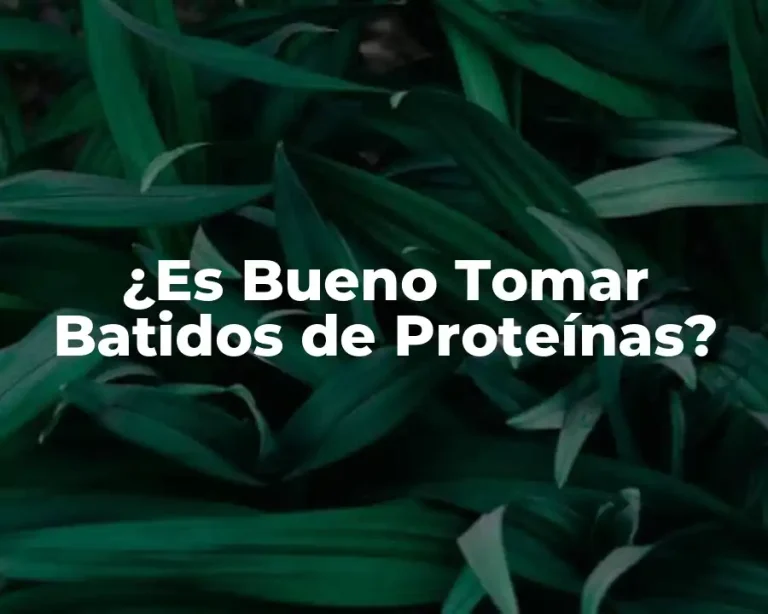 ¿Es Bueno Tomar Batidos de Proteínas?