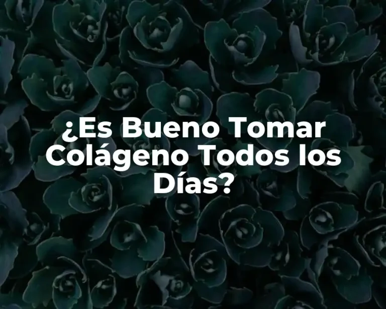 ¿Es Bueno Tomar Colágeno Todos los Días?