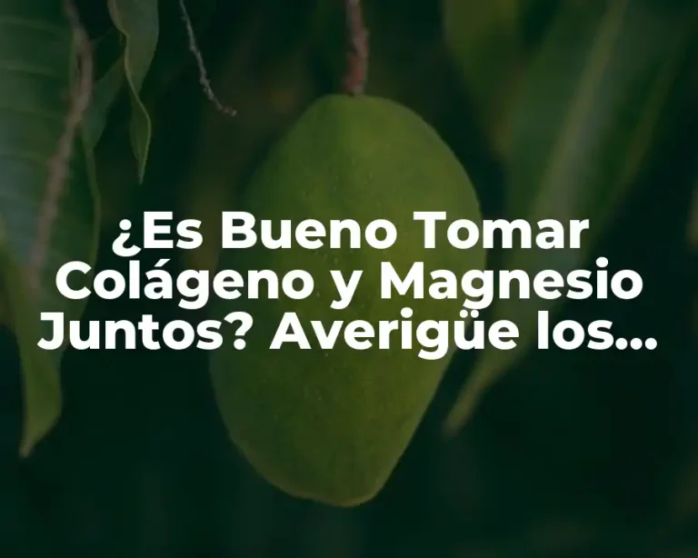 ¿Es Bueno Tomar Colágeno y Magnesio Juntos? Averigüe los Beneficios