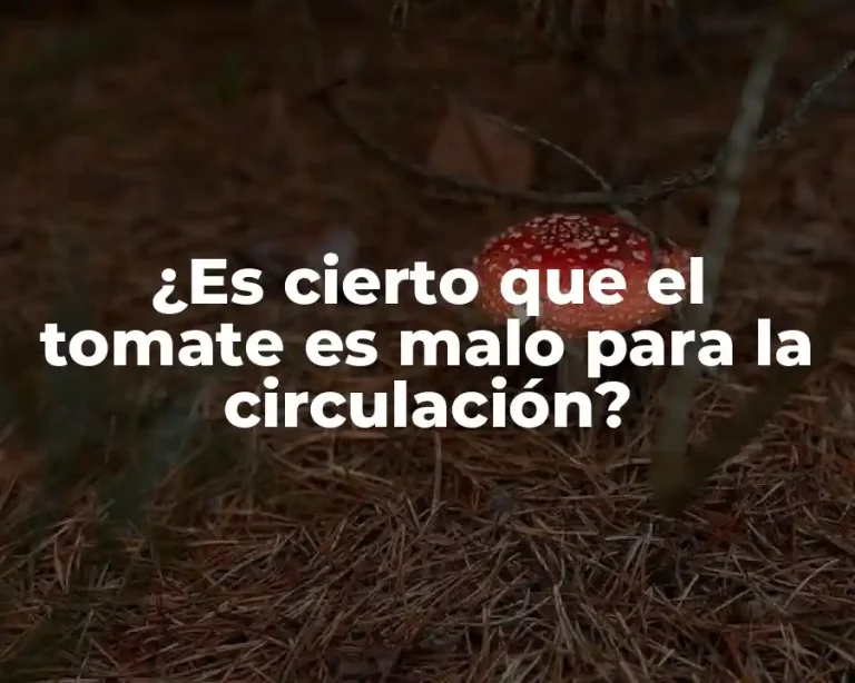 ¿Es cierto que el tomate es malo para la circulación?