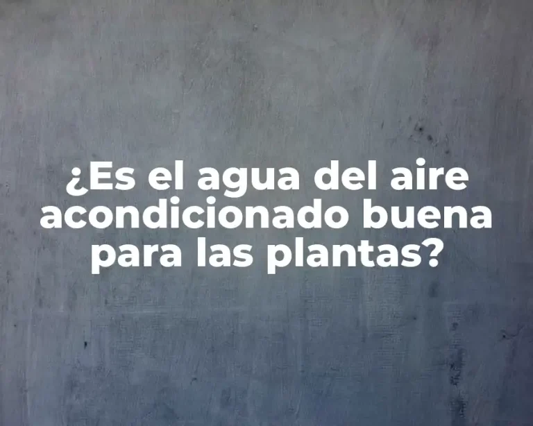 ¿Es el agua del aire acondicionado buena para las plantas?