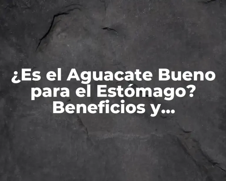 ¿Es el Aguacate Bueno para el Estómago? Beneficios y Contraindicaciones