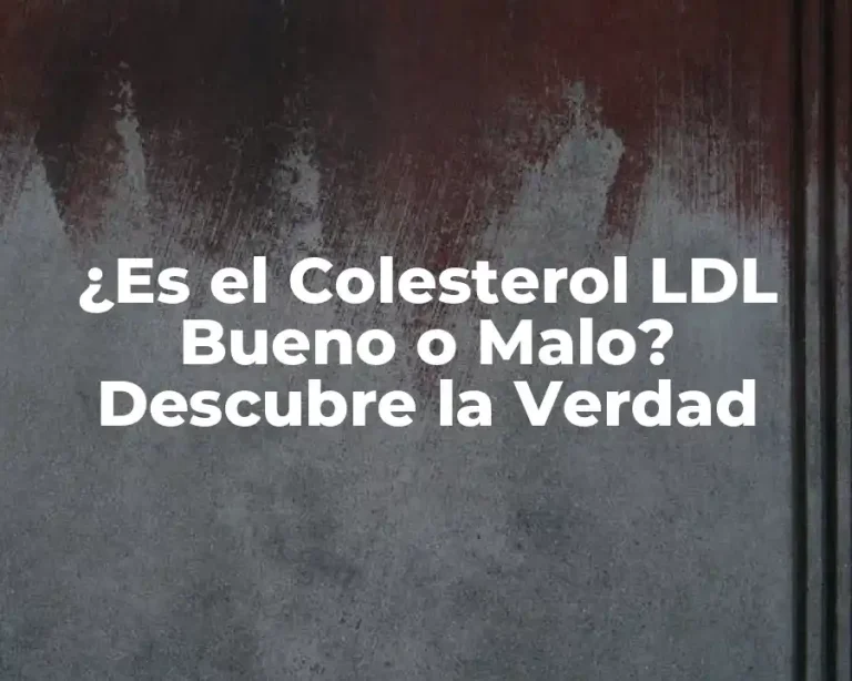 ¿Es el Colesterol LDL Bueno o Malo? Descubre la Verdad