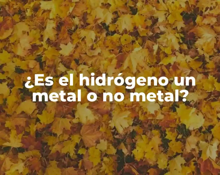¿Es el hidrógeno un metal o no metal?