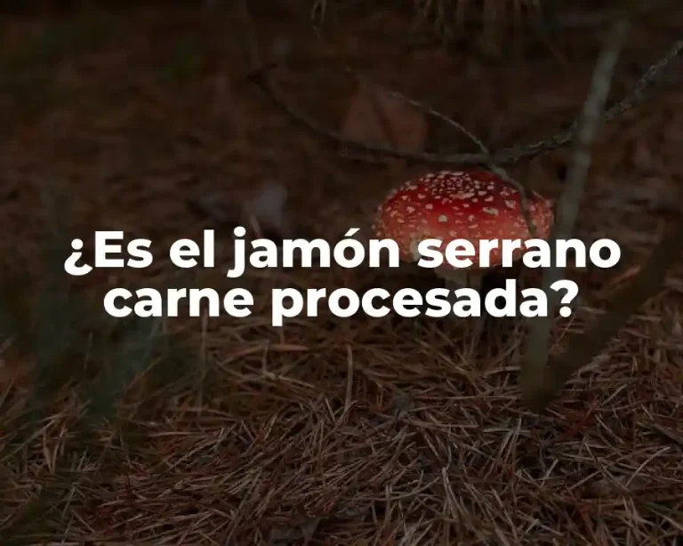 ¿Es el jamón serrano carne procesada?