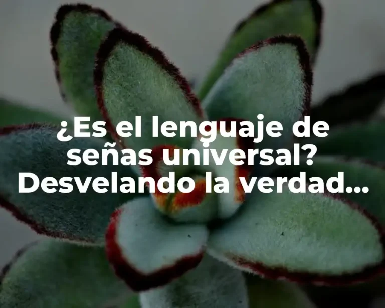 ¿Es el lenguaje de señas universal? Desvelando la verdad detrás de la comunicación silenciosa