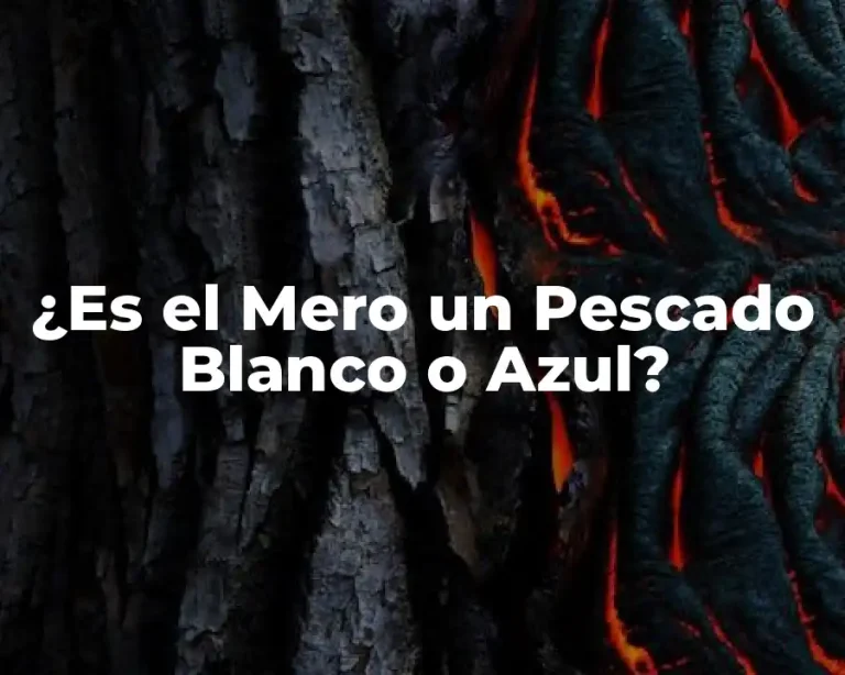 ¿Es el Mero un Pescado Blanco o Azul?