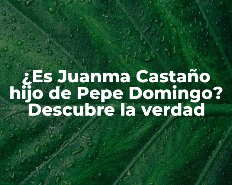¿Es Juanma Castaño hijo de Pepe Domingo? Descubre la verdad