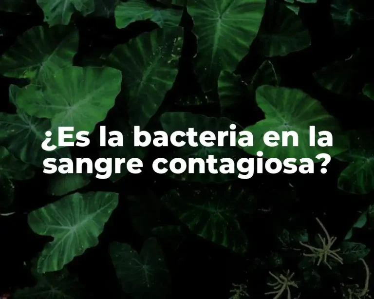 ¿Es la bacteria en la sangre contagiosa?