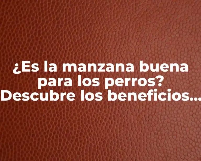 ¿Es la manzana buena para los perros? Descubre los beneficios y riesgos