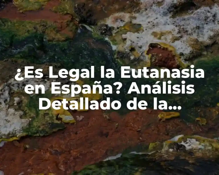 ¿Es Legal la Eutanasia en España? Análisis Detallado de la Legislación