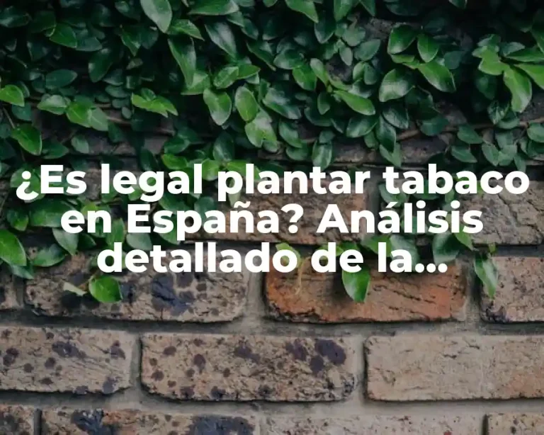 ¿Es legal plantar tabaco en España? Análisis detallado de la legislación