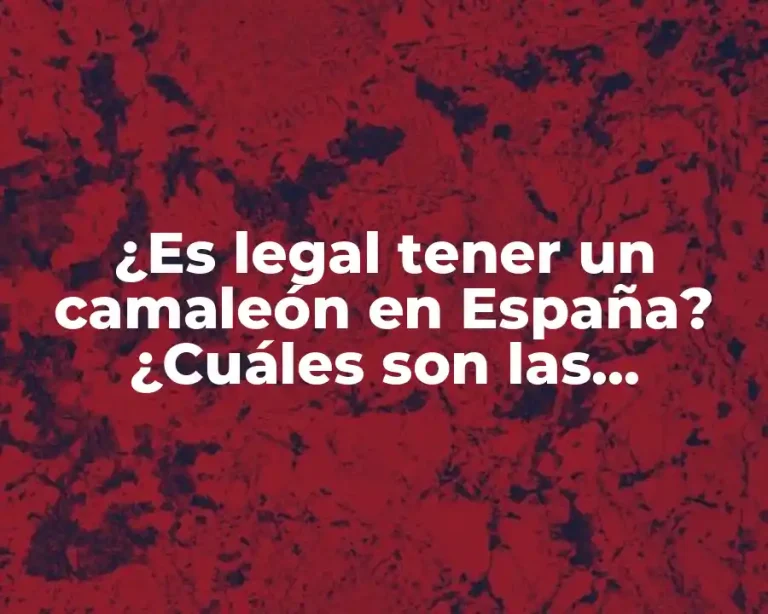 ¿Es legal tener un camaleón en España? ¿Cuáles son las regulaciones y recomendaciones?