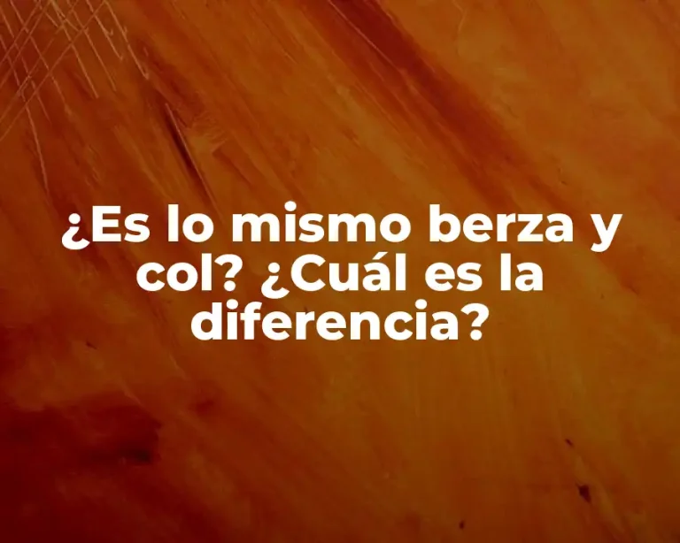 ¿Es lo mismo berza y col? ¿Cuál es la diferencia?