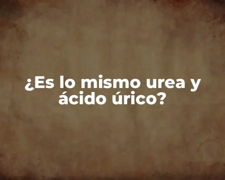 ¿Es lo mismo urea y ácido úrico?