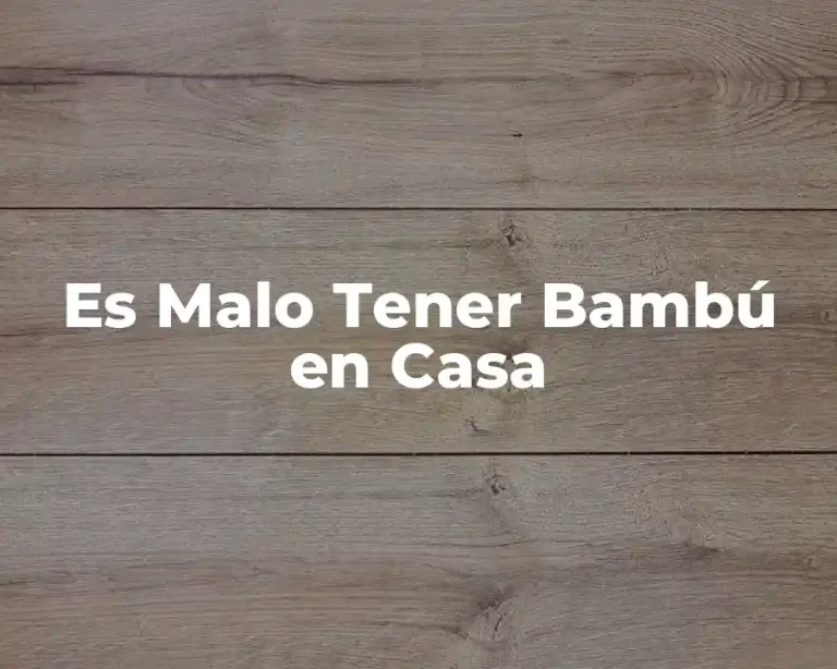 Es Malo Tener Bambú en Casa