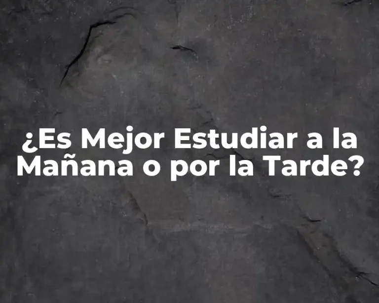 ¿Es Mejor Estudiar a la Mañana o por la Tarde?