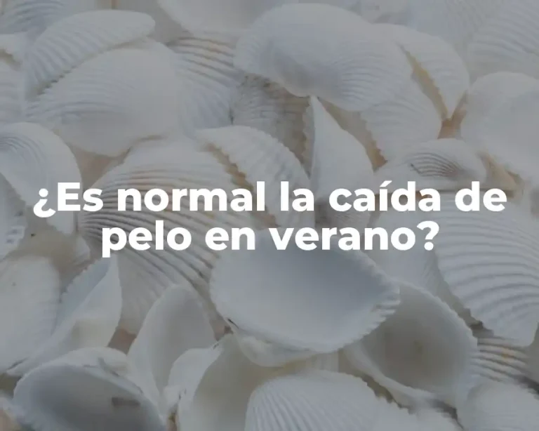 ¿Es normal la caída de pelo en verano?