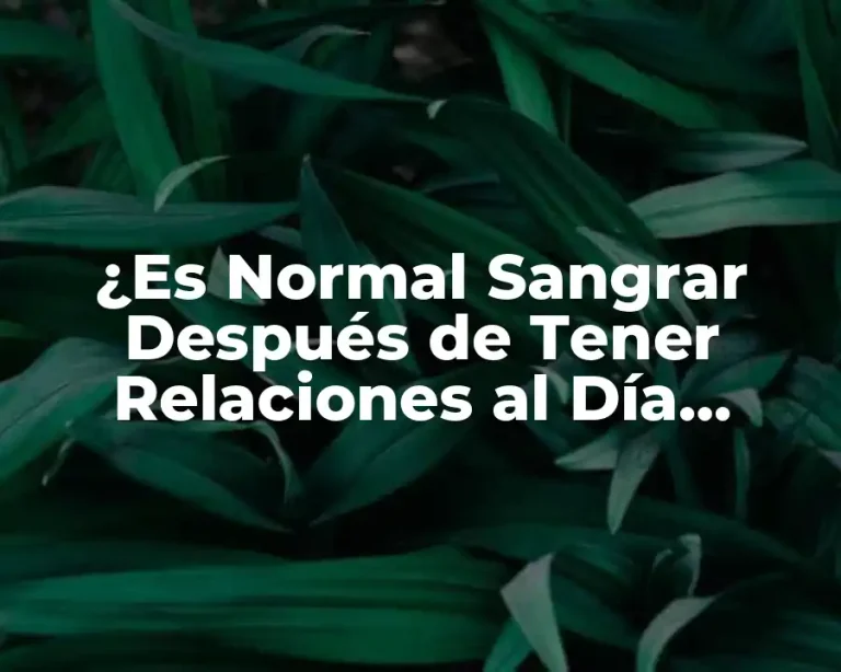 ¿Es Normal Sangrar Después de Tener Relaciones al Día Siguiente?